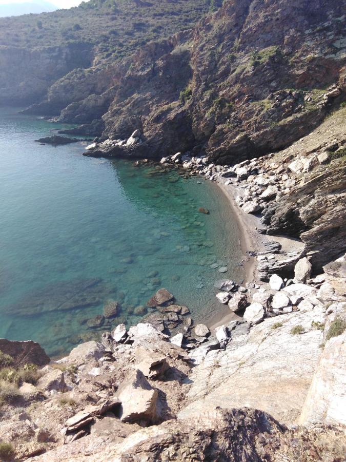 Appartement La Mediterranee Vue Sur Mer Plein Soleil 3 Climatisations Reversibles Port Vendres ภายนอก รูปภาพ
