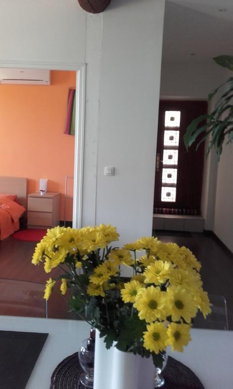 Appartement La Mediterranee Vue Sur Mer Plein Soleil 3 Climatisations Reversibles Port Vendres ภายนอก รูปภาพ